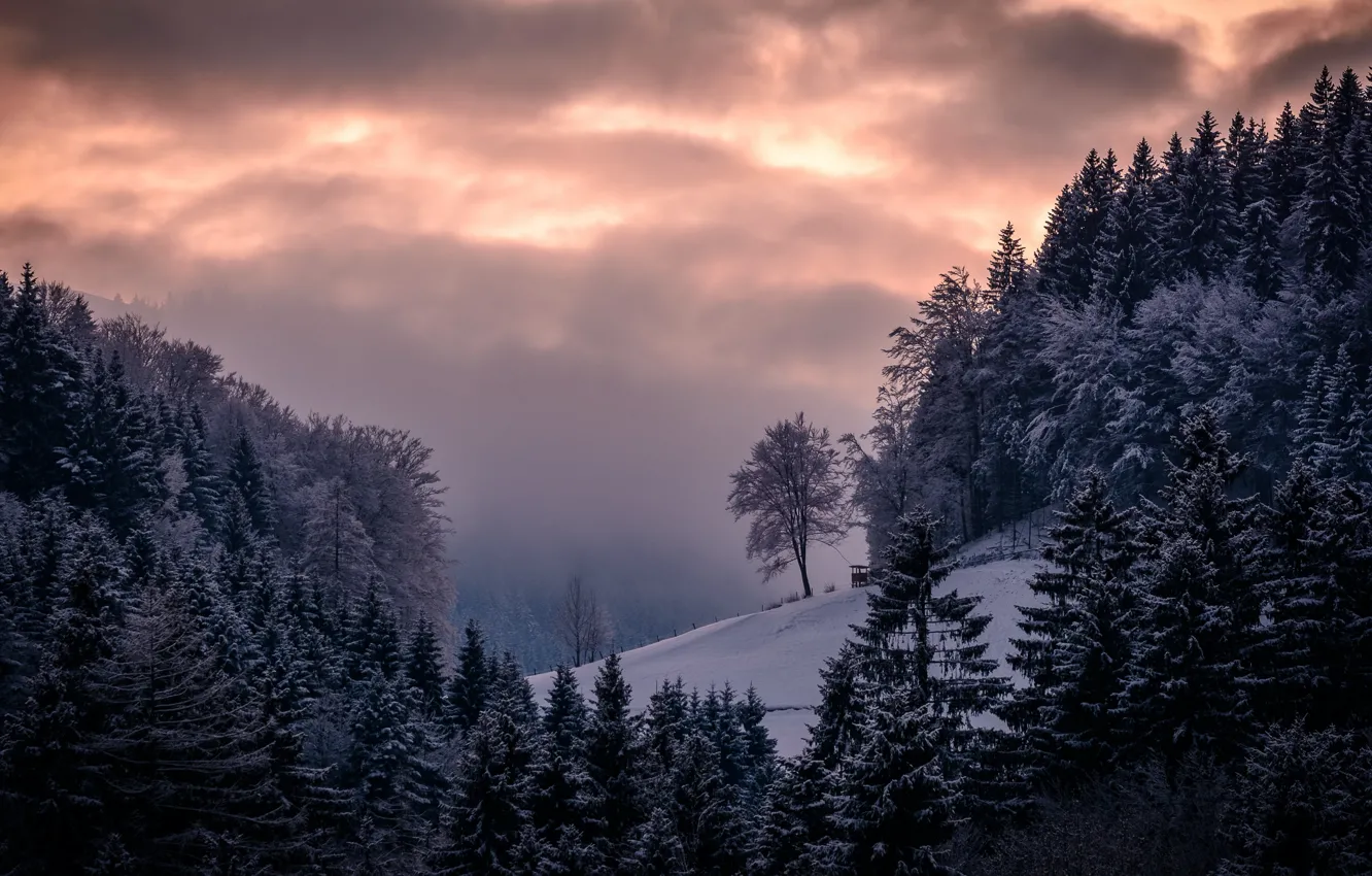 Photo wallpaper winter, mountains, morning