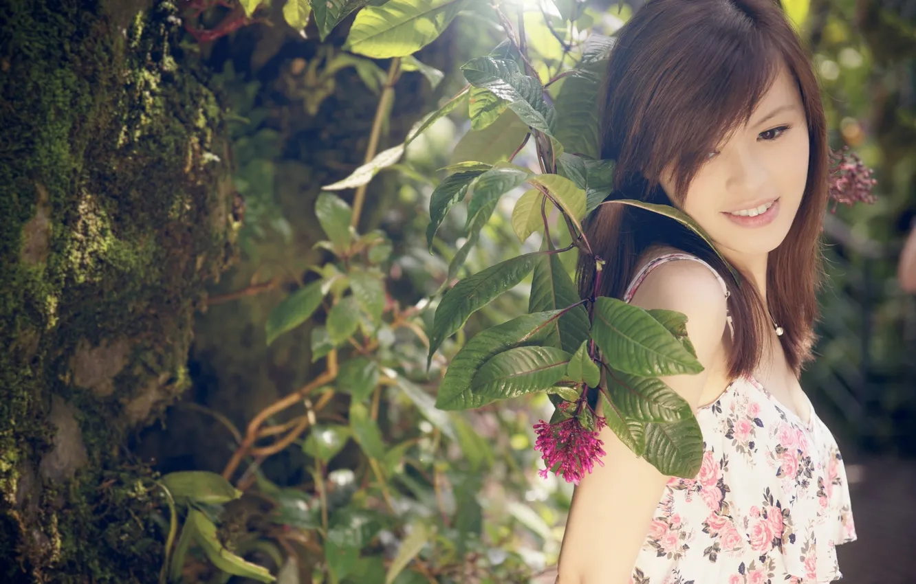 Photo wallpaper leaves, trees, branches, Asian