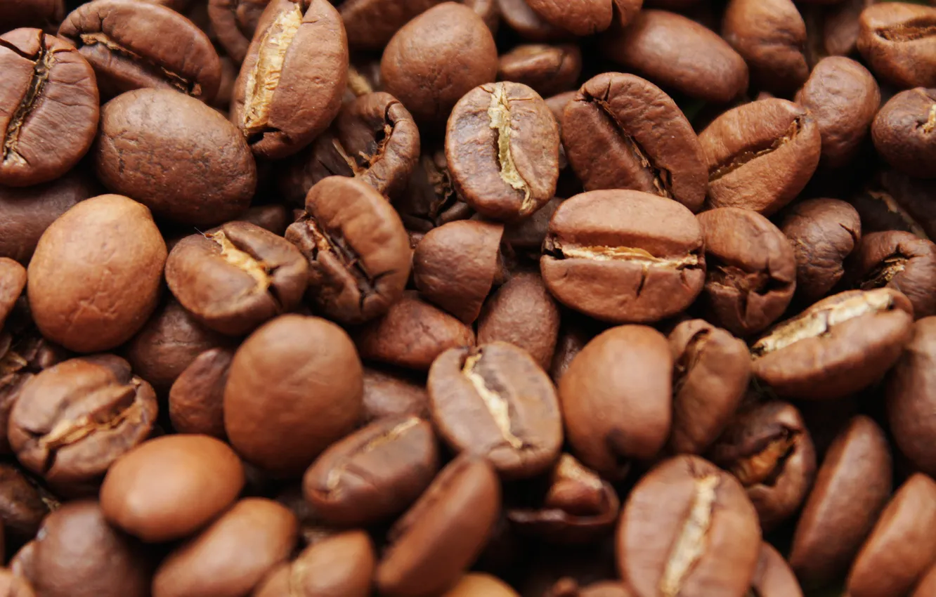 Photo wallpaper coffee, grain, drink