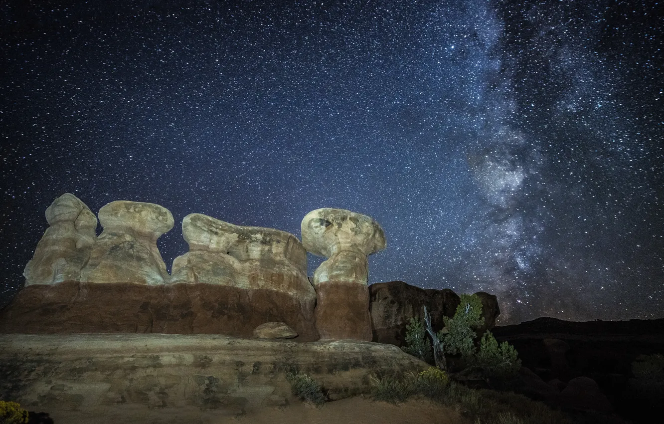 Photo wallpaper the sky, stars, night, nature, the milky way