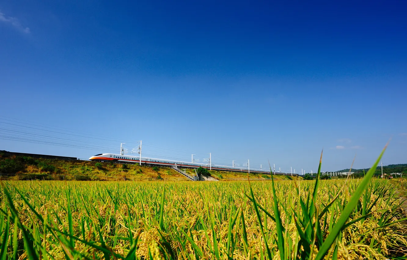 Photo wallpaper the sky, grass, nature, train, speed