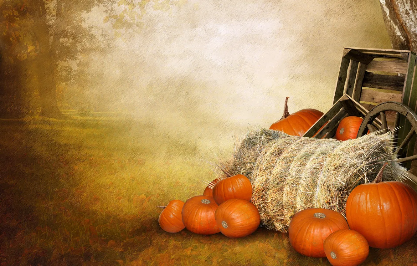 Photo wallpaper trees, glade, figure, hay, pumpkin, cart