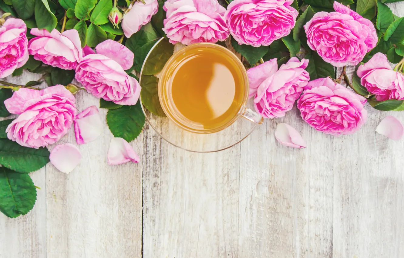 Photo wallpaper flowers, roses, petals, pink, wood, pink, flowers, cup