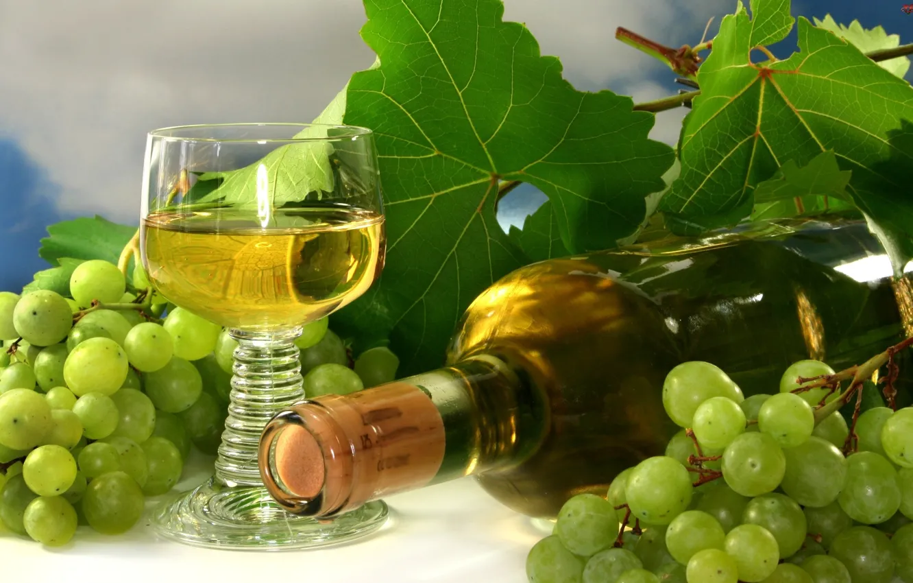 Photo wallpaper wine, glass, bottle, grapes, bunch