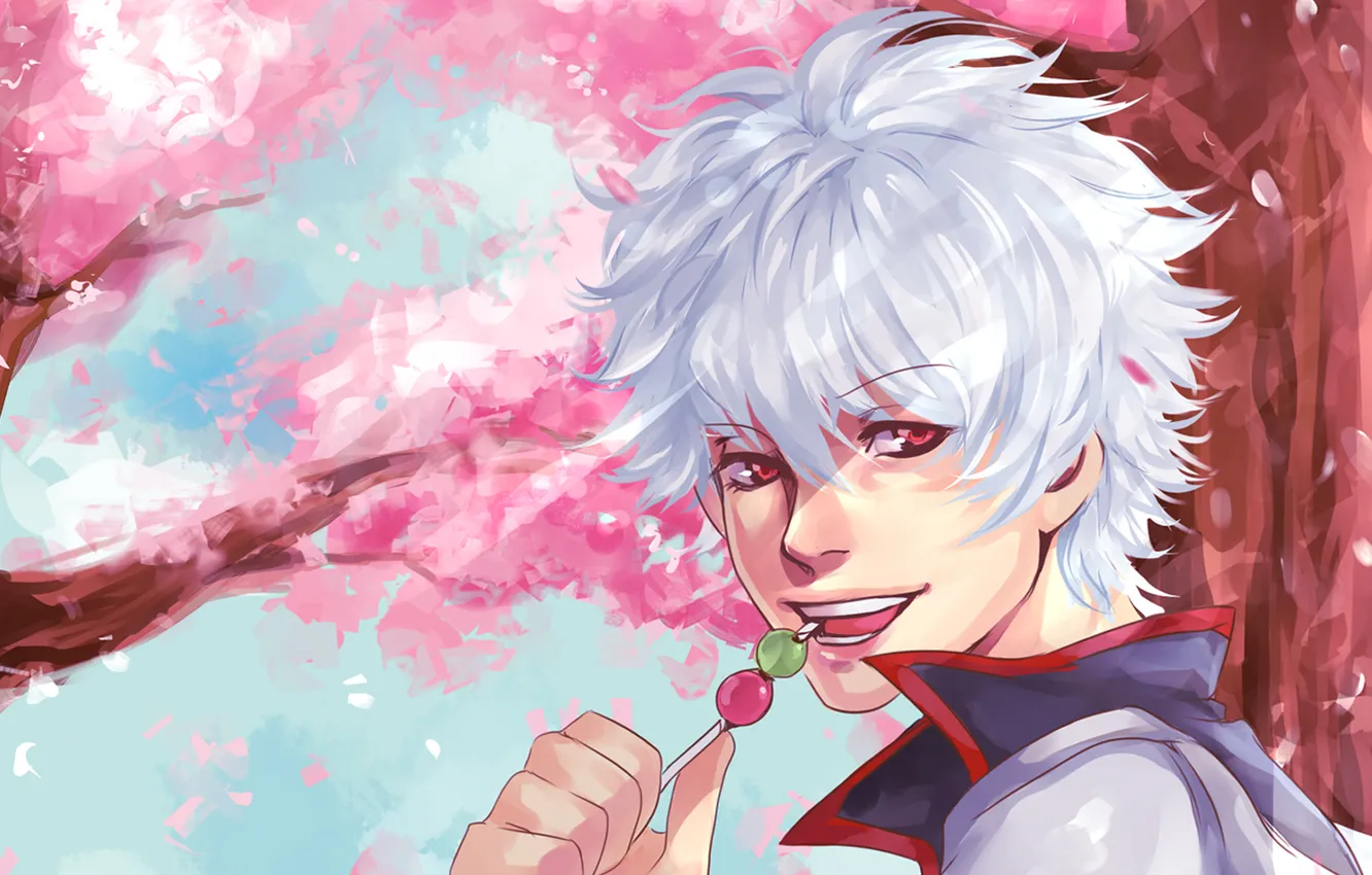 Photo wallpaper trees, Sakura, samurai, male, gintama, Sakata Gintoki, Gintama, Dango
