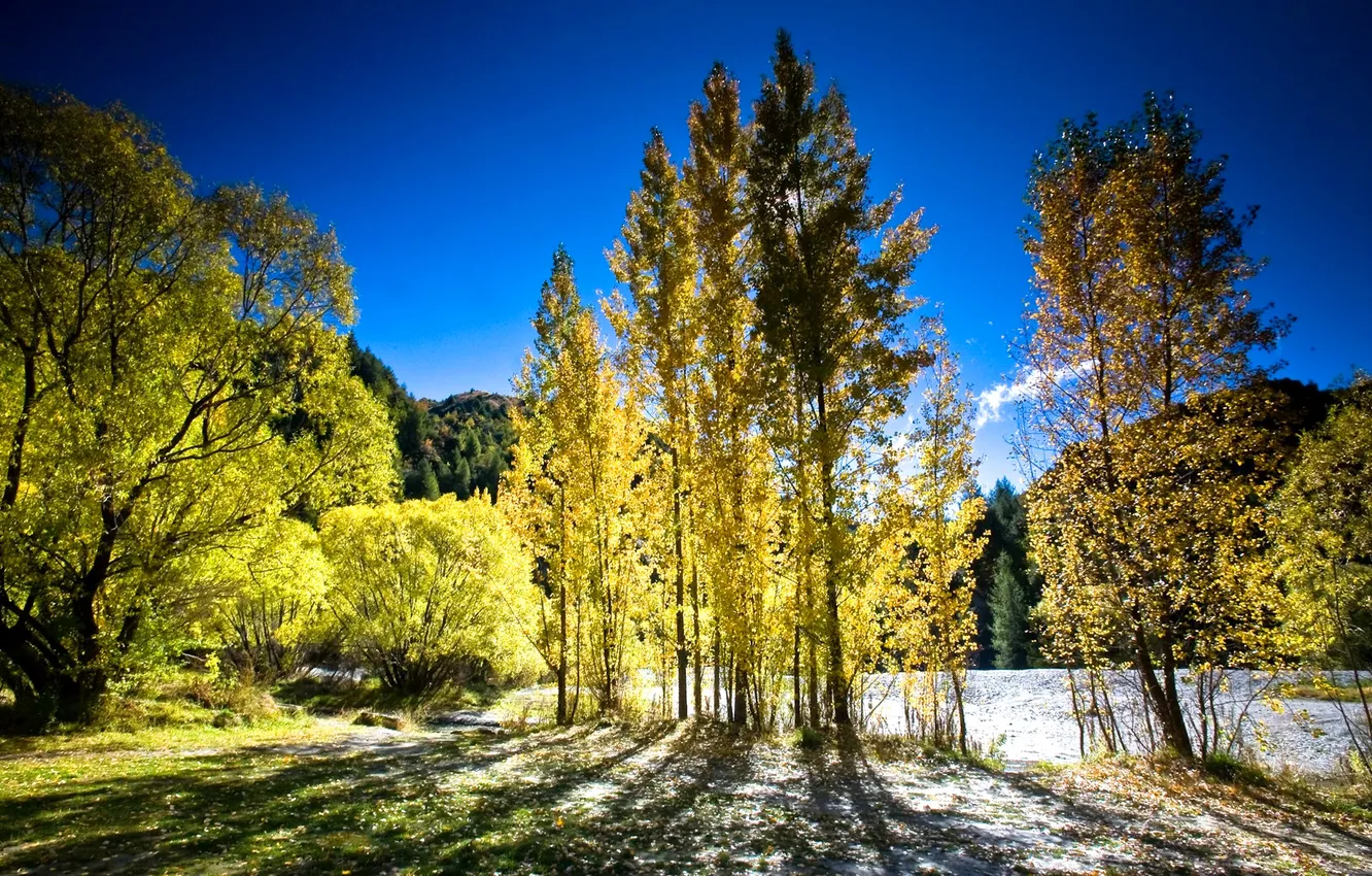 Photo wallpaper the sky, trees, mountains, river