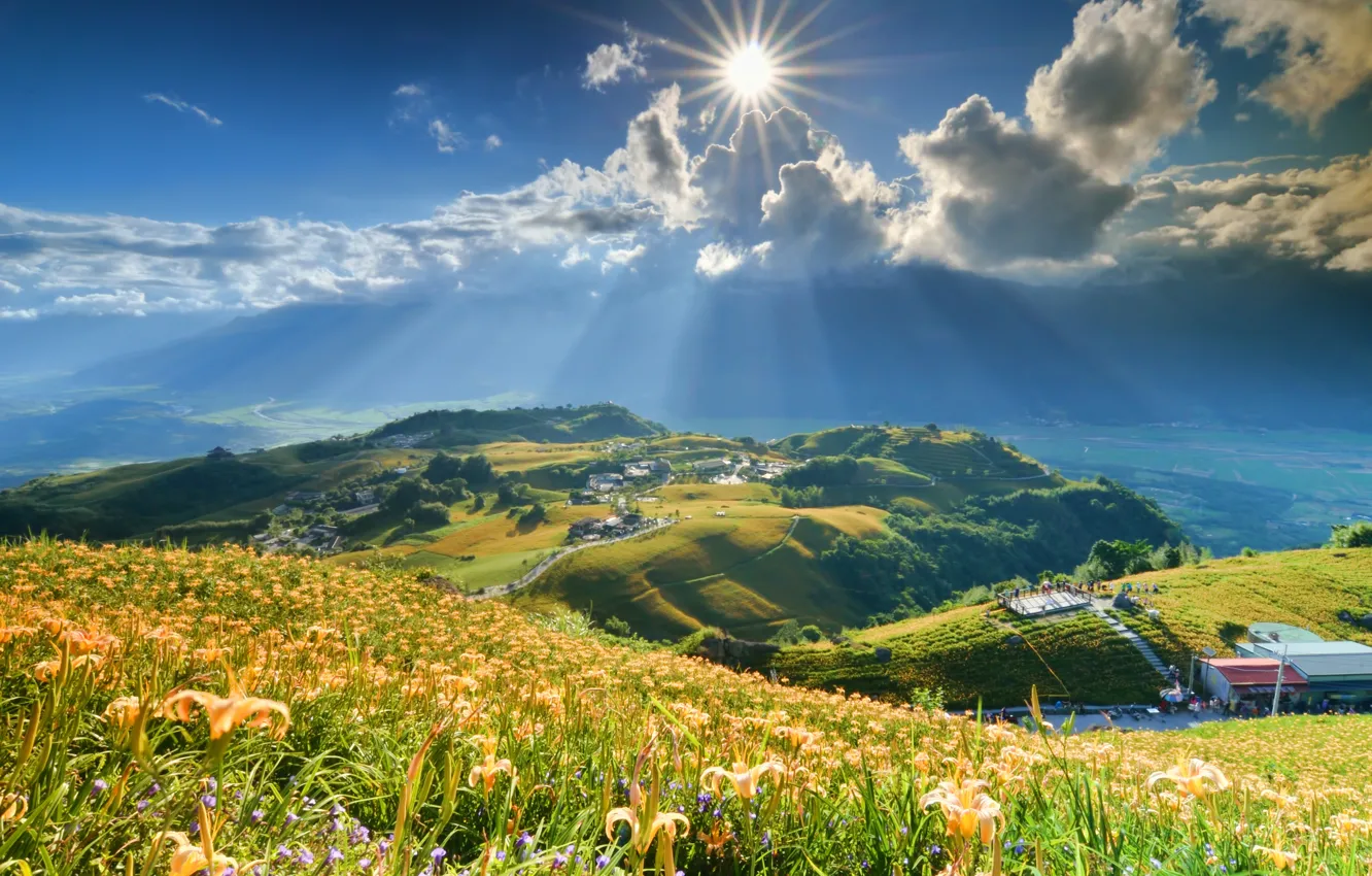 Photo wallpaper the sun, clouds, rays, flowers, mountains, Lily, slope