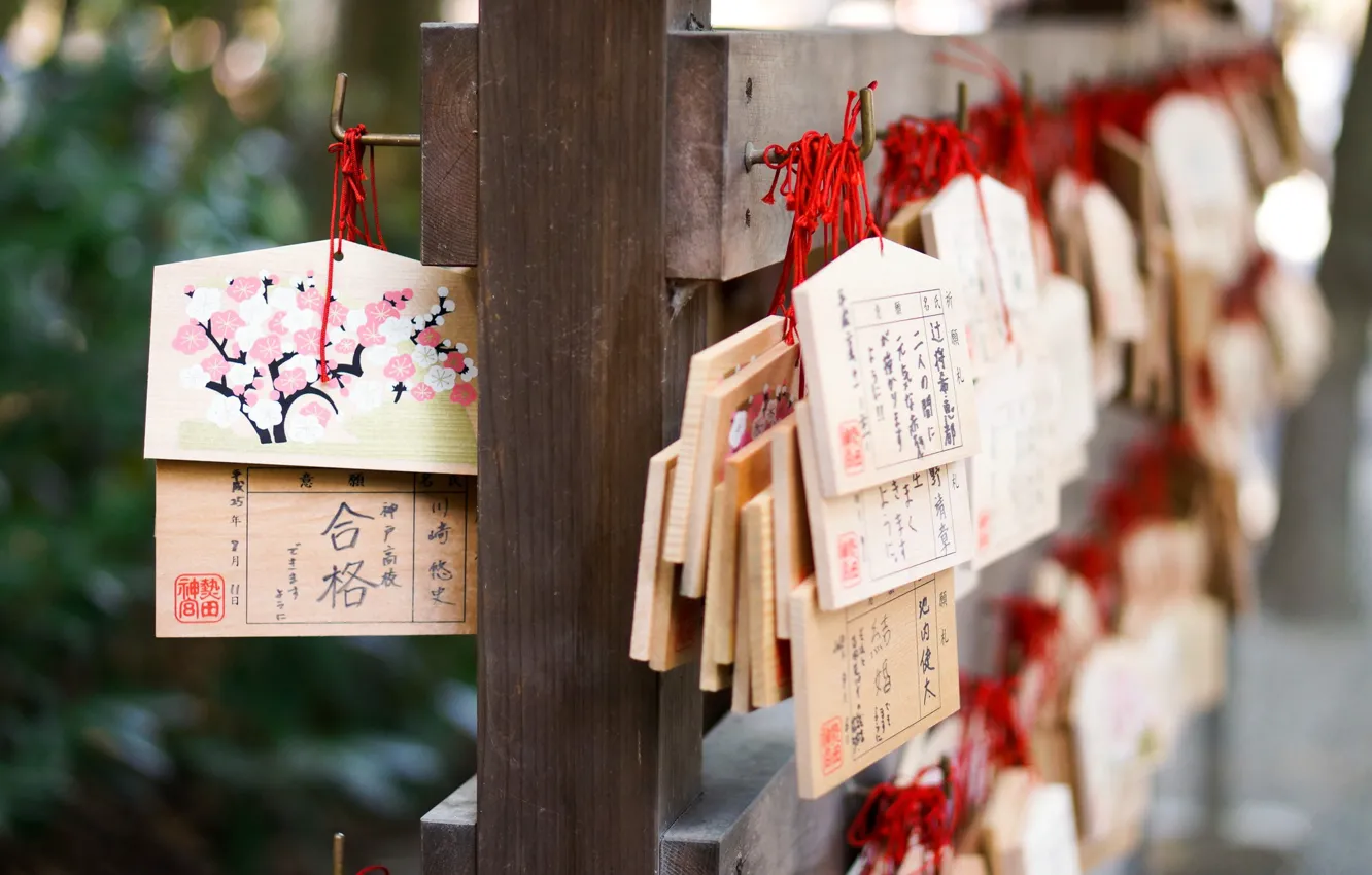 Photo wallpaper tree, desire, Japan, temple, Japan, the gods, amulet, symbols