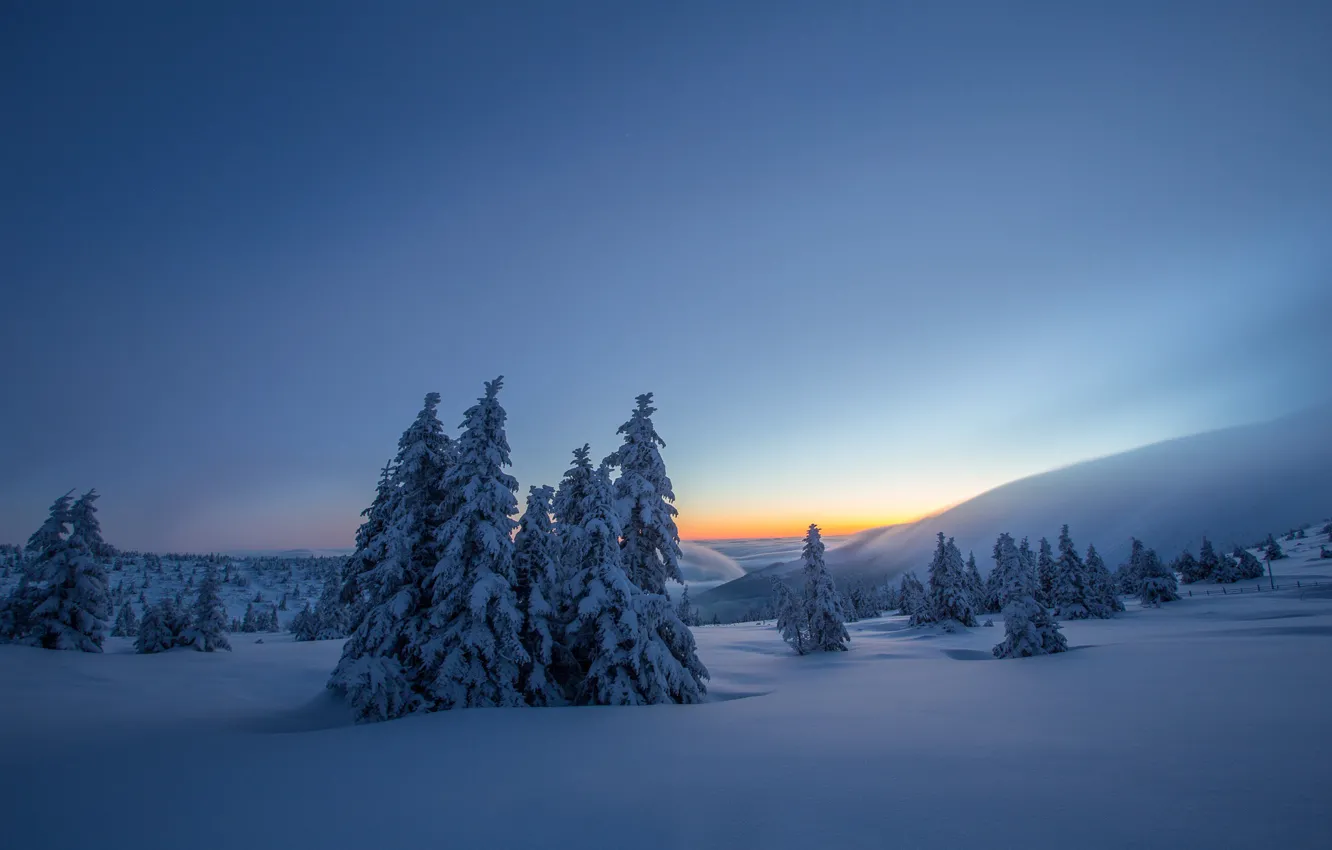 Photo wallpaper winter, snow, ate, Poland, the snow, Poland, Karkonosze National Park, Karkonosze Mountains