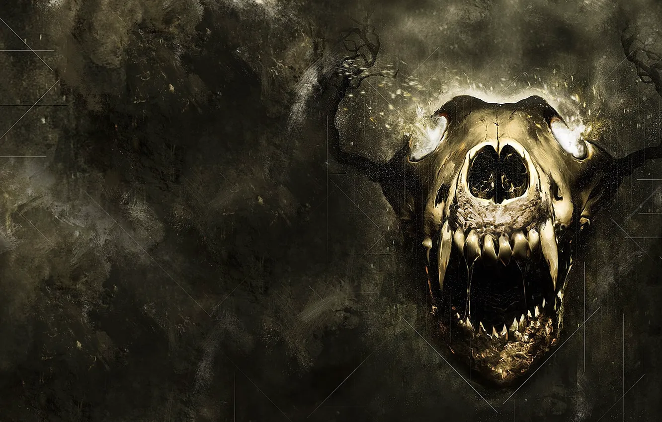 Photo wallpaper abstraction, background, skull, KHOLAT