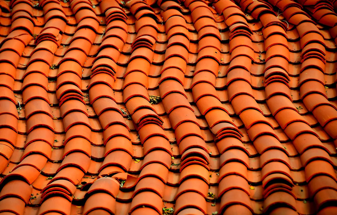 Photo wallpaper roof, tile, roof