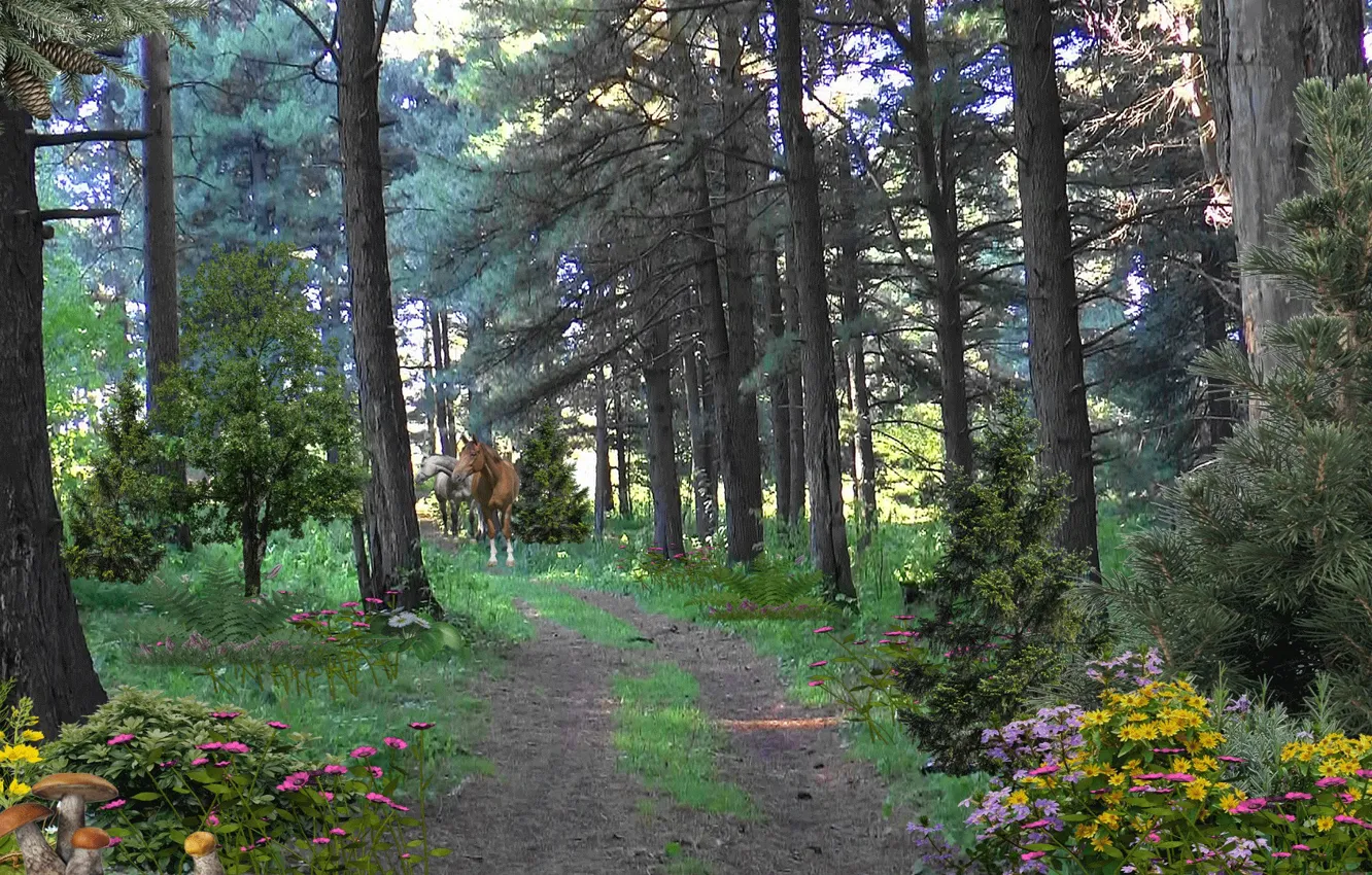 Photo wallpaper road, forest, flowers, horse, mushrooms, forest, road, taiga