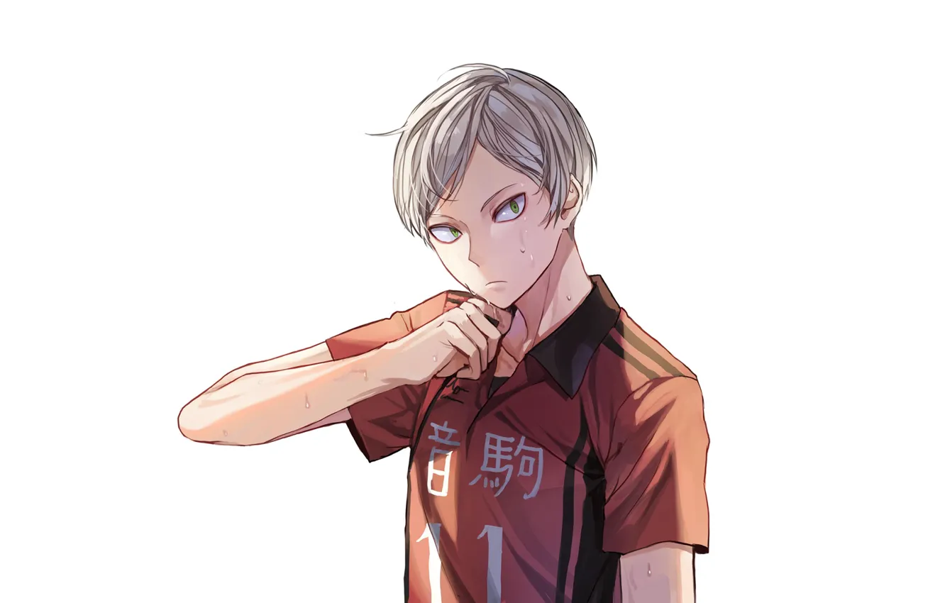 Photo wallpaper look, white background, guy, volleyball, HAIKYUU