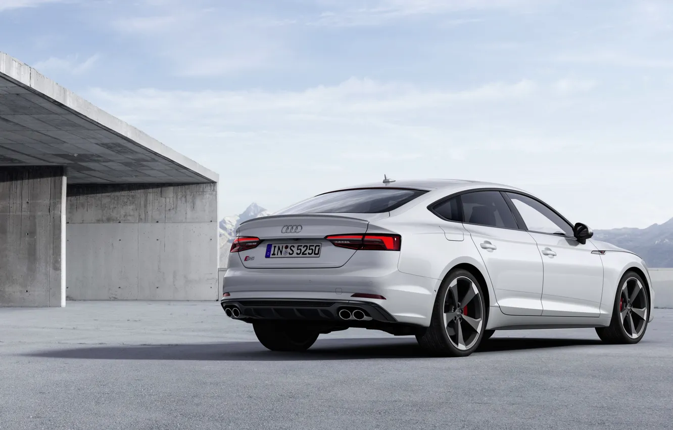 Photo wallpaper Audi, Audi A5, the five-door, 2019, S5 Sportback