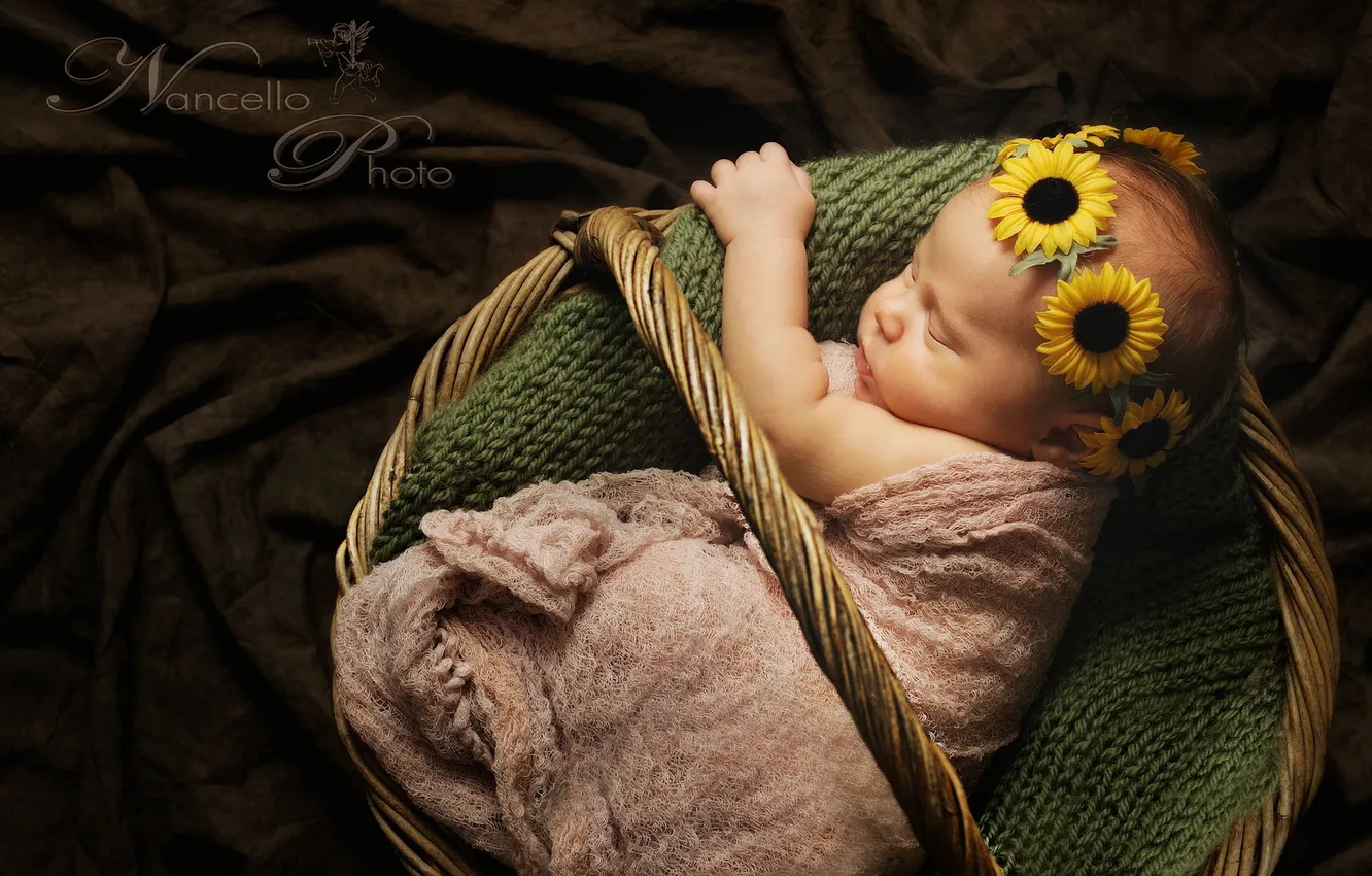 Photo wallpaper flowers, mood, basket, baby