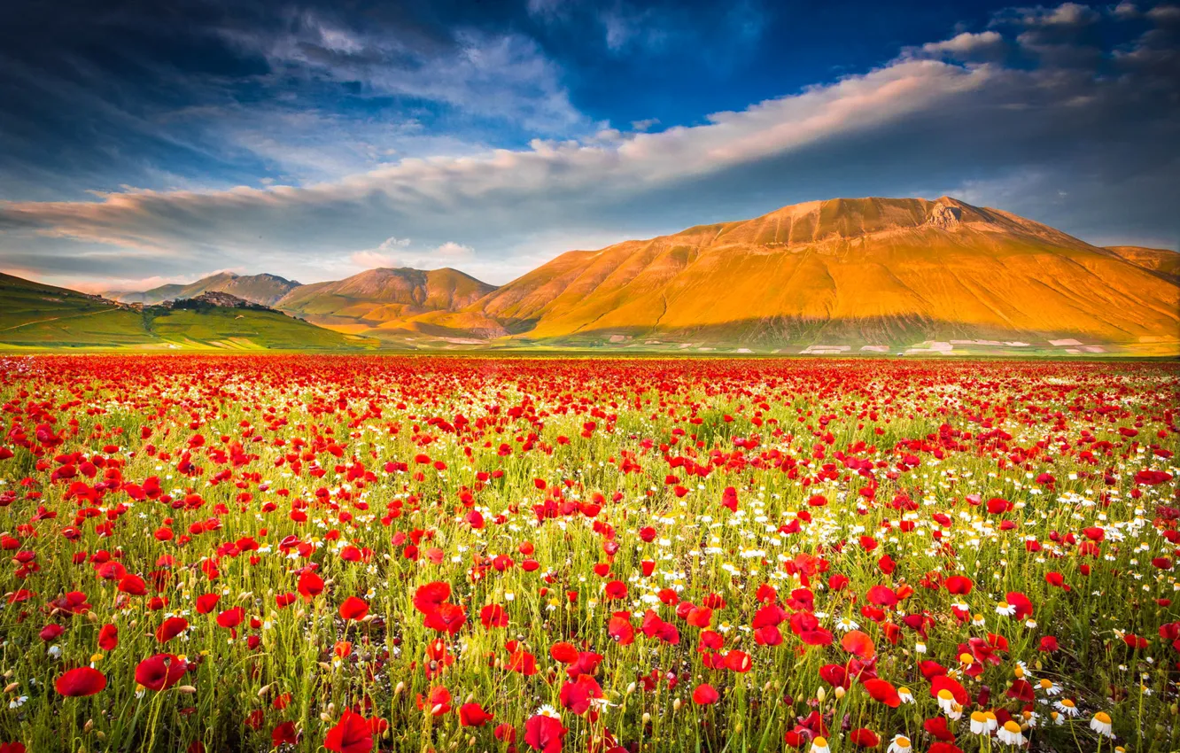Photo wallpaper field, the sky, mountains, Maki, meadow, Italy, Italy, Umbria