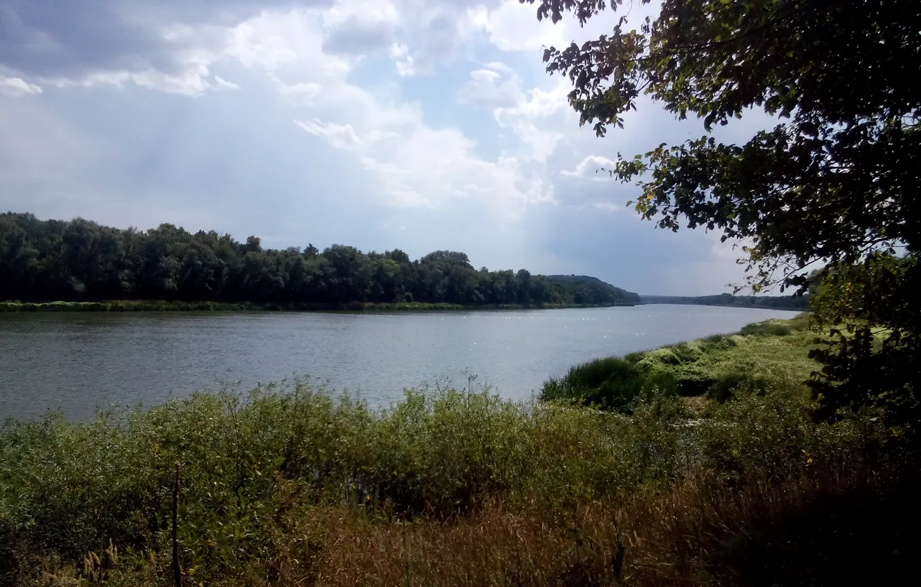 Photo wallpaper the sky, don, forest.grass