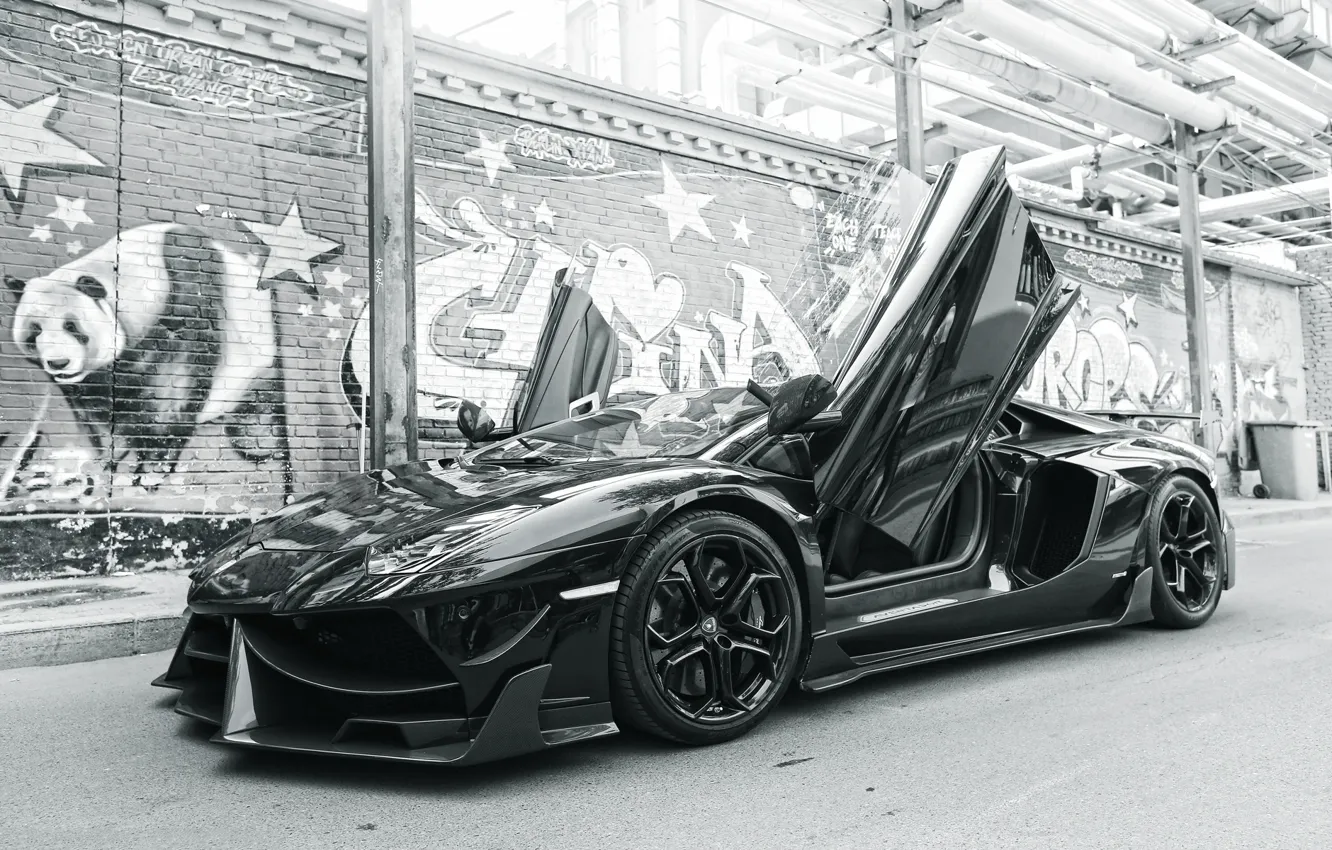Photo wallpaper graffiti, Lamborghini, monochrome, Lamborghini Aventador