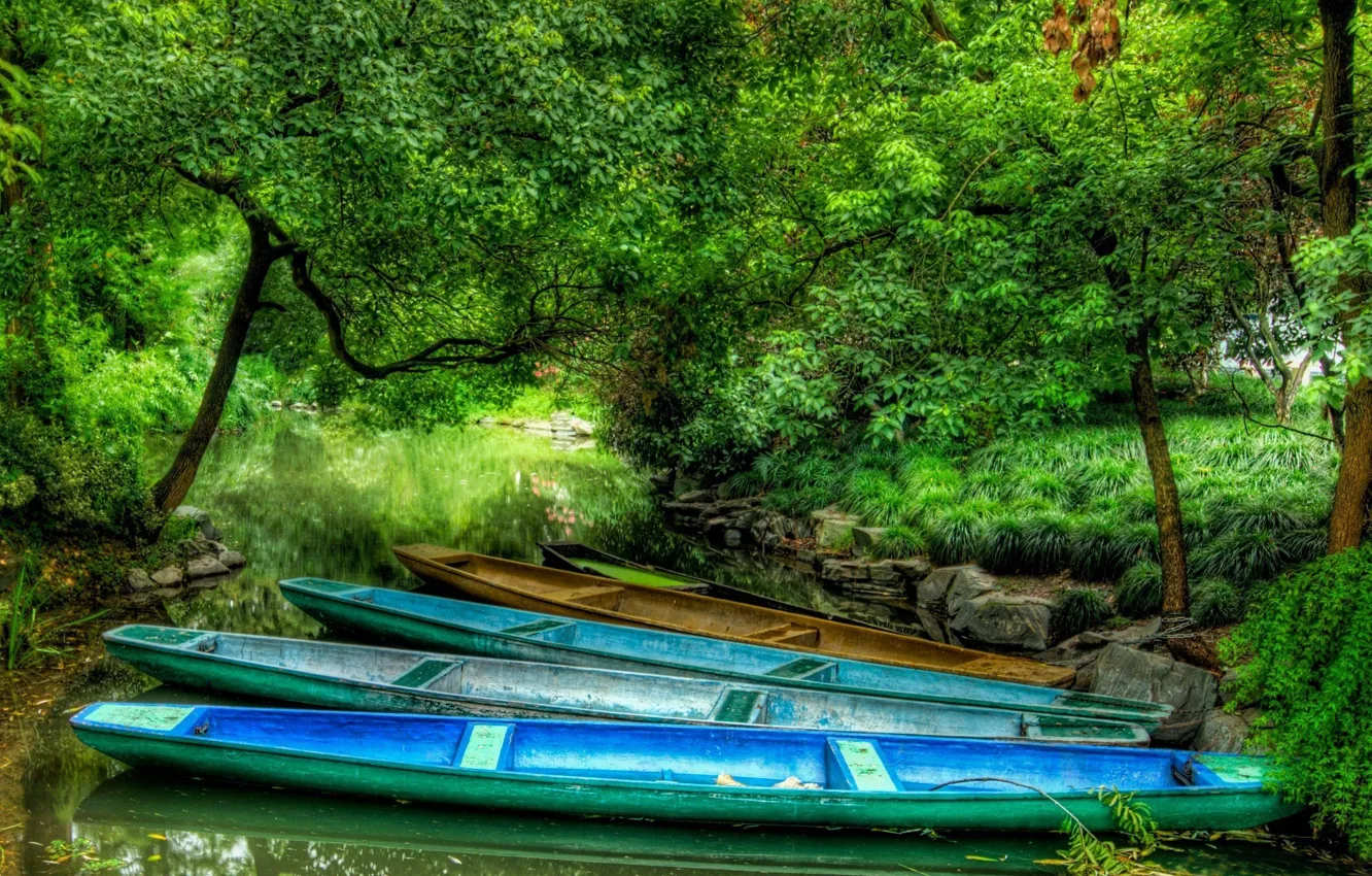 Photo wallpaper forest, river, boat