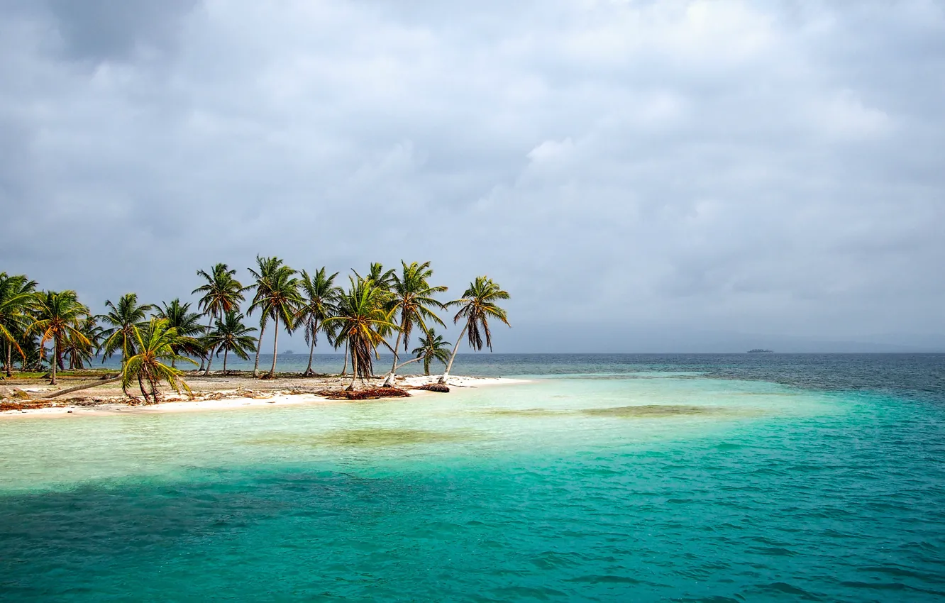 Photo wallpaper sea, tropics, palm trees, shore, Panama