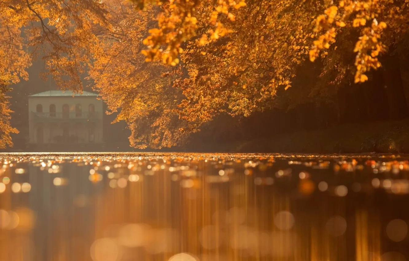Photo wallpaper autumn, trees, nature, house, river, bokeh