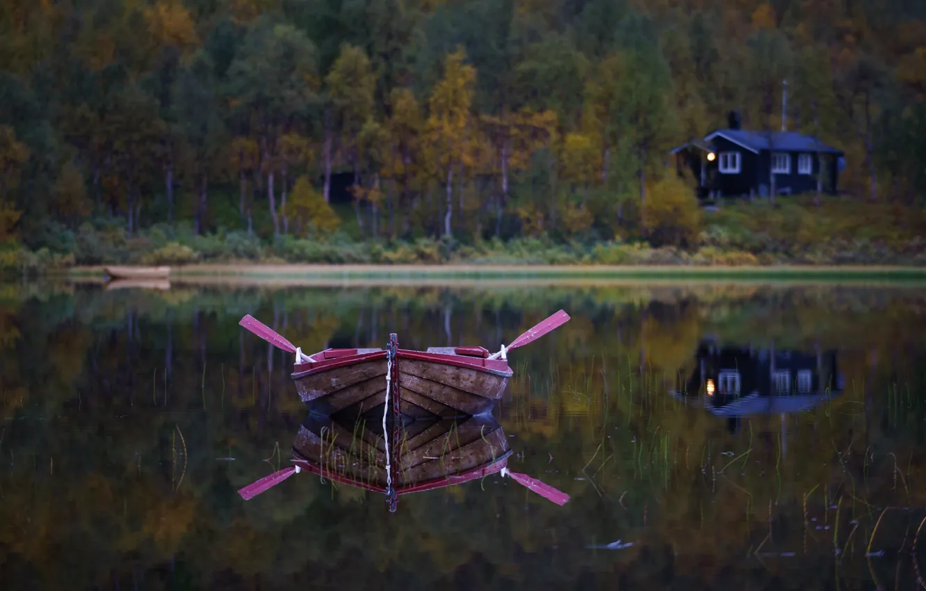 Photo wallpaper forest, lake, boat, paddle