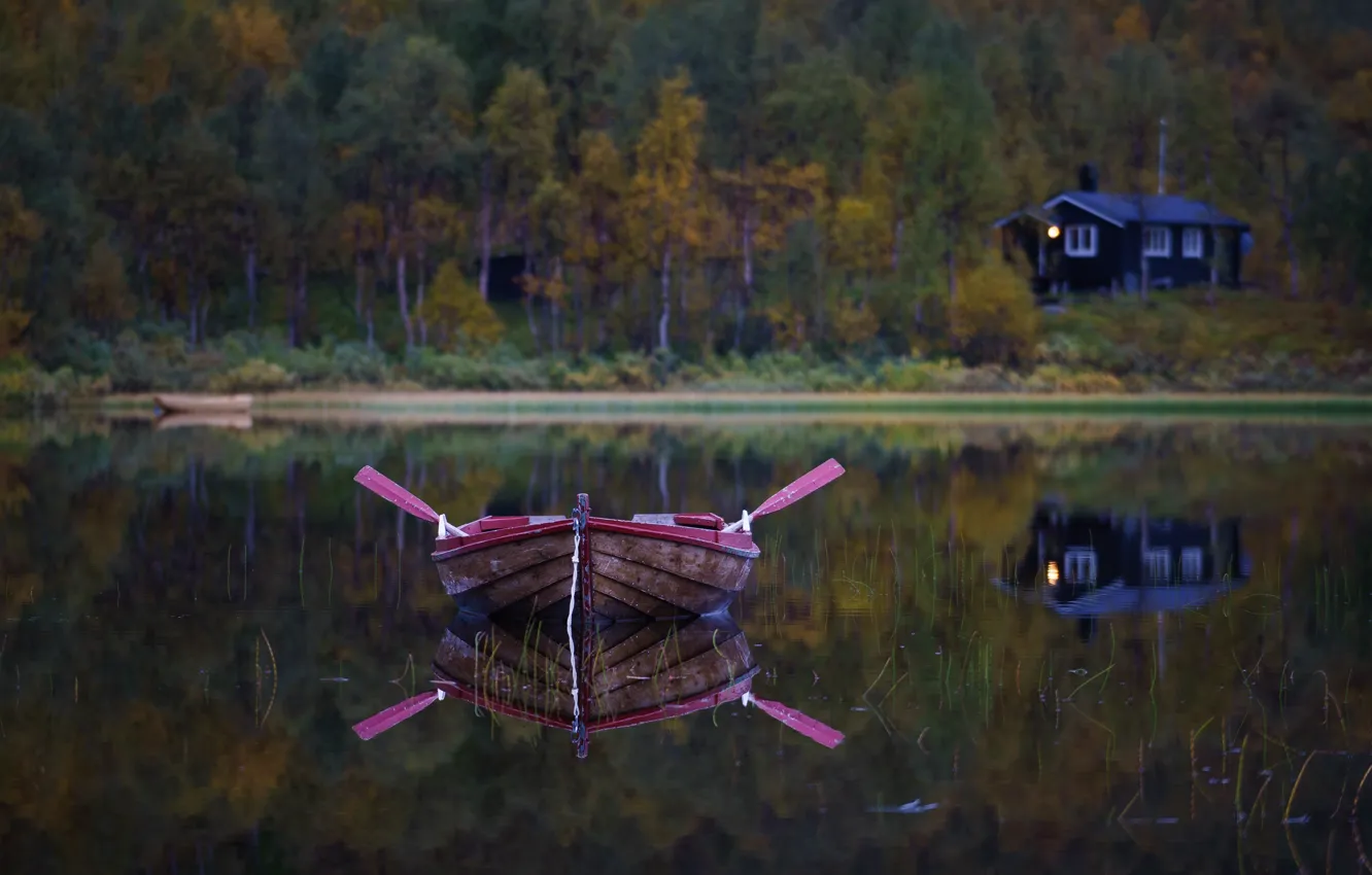 Photo wallpaper forest, lake, boat, paddles