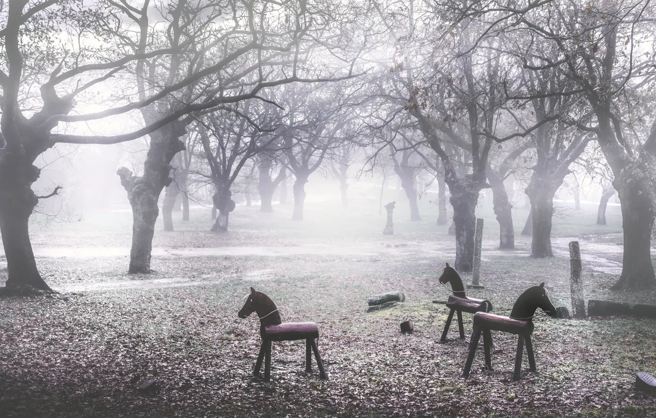 Photo wallpaper fog, Park, horse