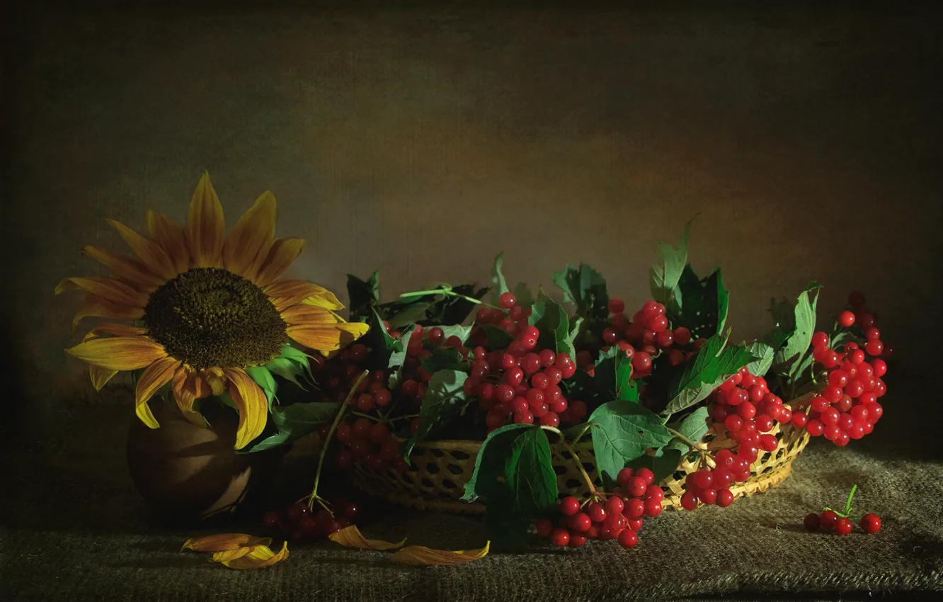 Photo wallpaper berries, sunflower, texture, Kalina