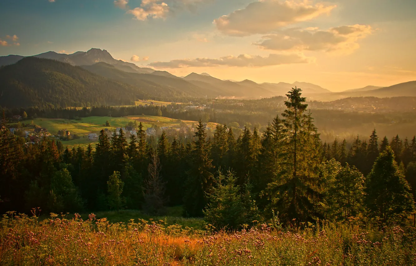 Photo wallpaper field, forest, the sky, the sun, clouds, trees, mountains, home
