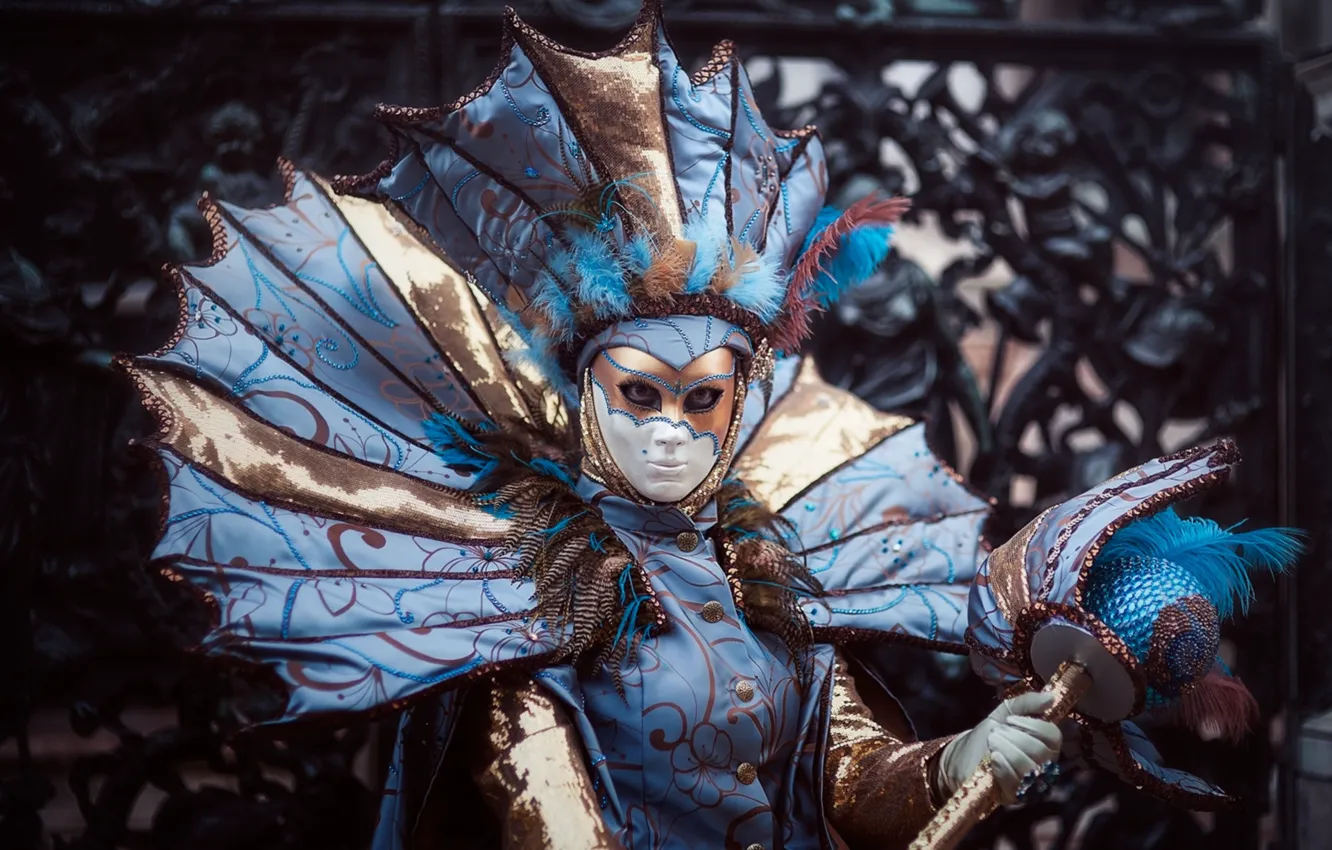 Photo wallpaper costume, Venice, carnival