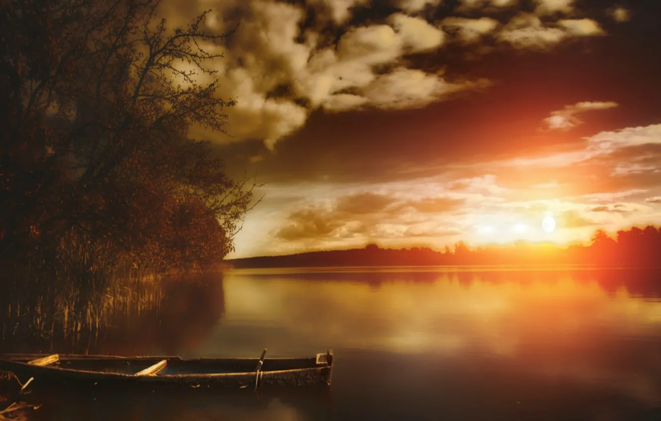 Photo wallpaper water, trees, sunset, clouds