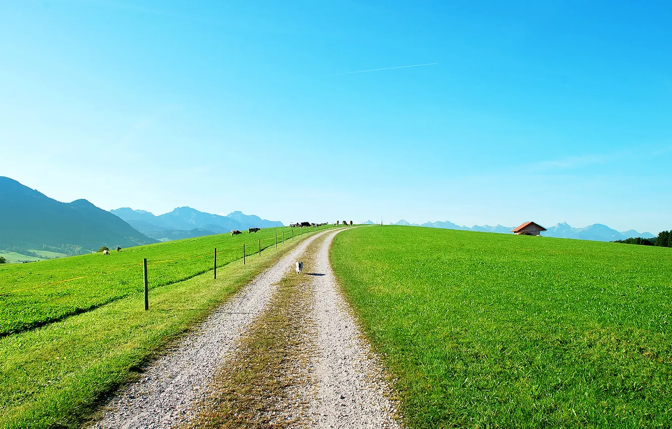 Photo wallpaper road, summer, grass, the fence, house