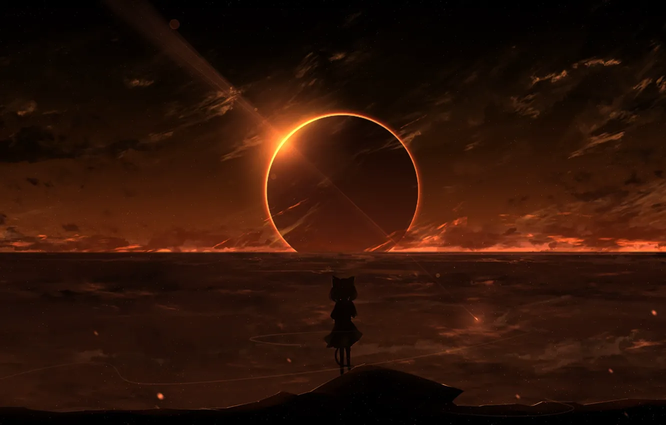 Photo wallpaper cat, the sky, water, girl, Eclipse