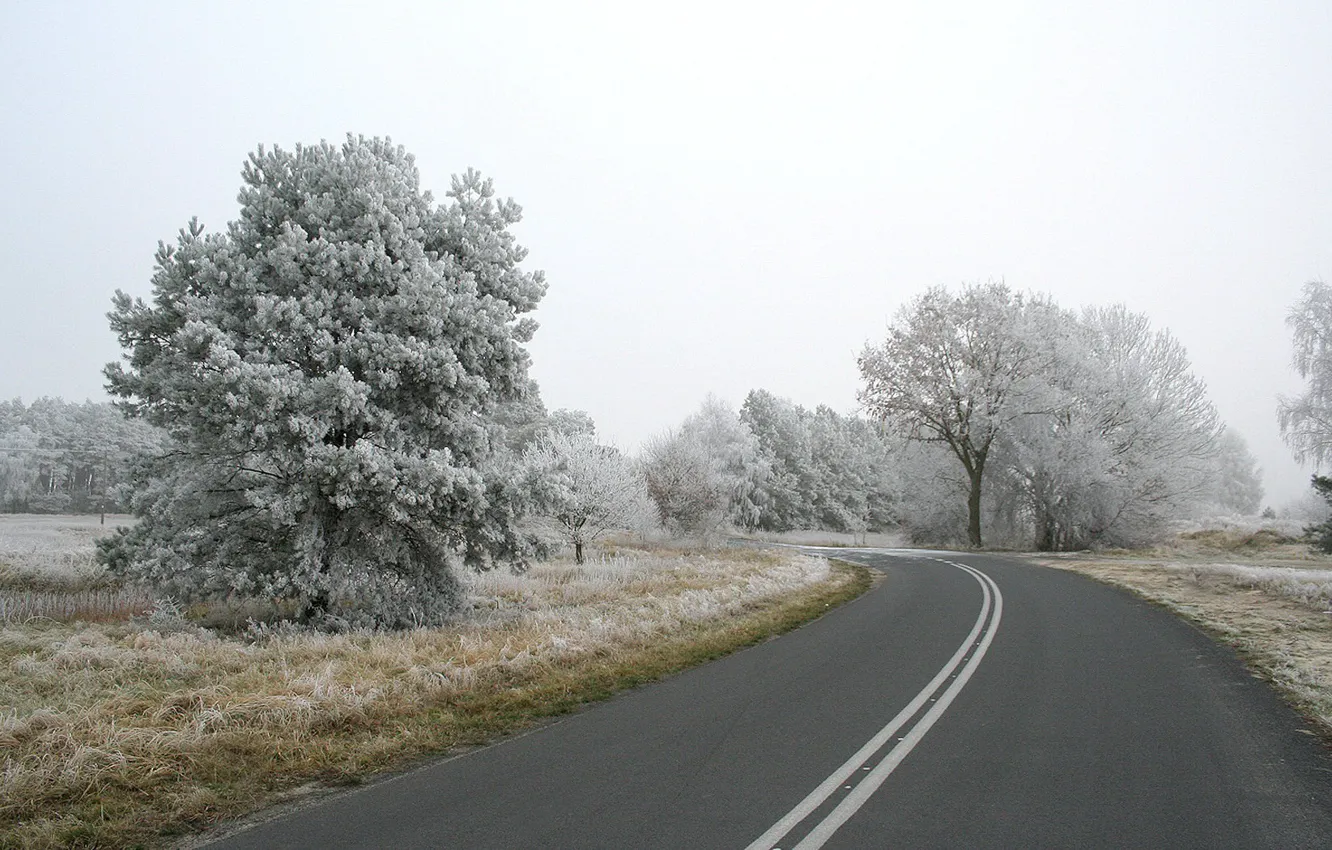Photo wallpaper road, snow, trees