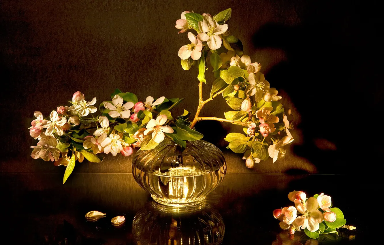 Photo wallpaper light, flowers, the dark background, bouquet, spring, still life, flowering, vase