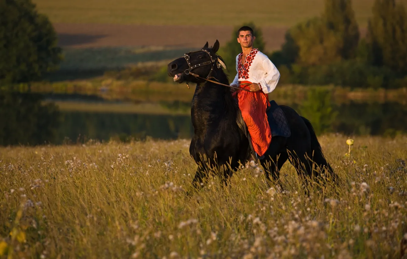 Photo wallpaper field, horse, male, Ukraine, Ukraine