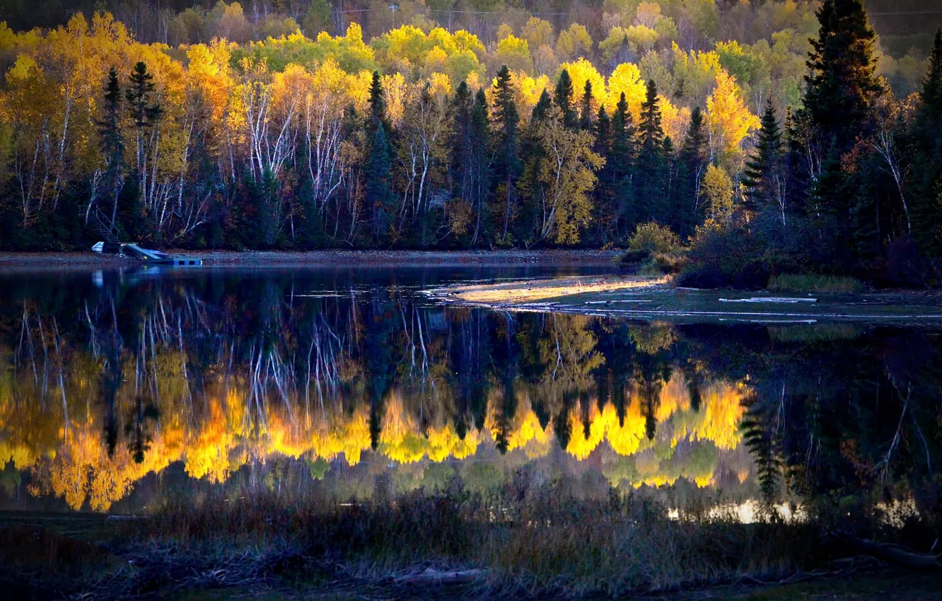Photo wallpaper autumn, forest, landscape, nature, lake, reflection, shore, Canada