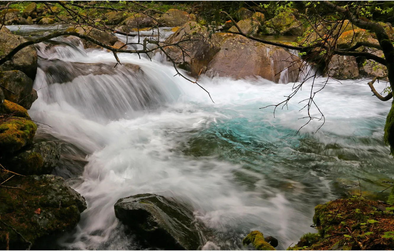 Photo wallpaper autumn, trees, river, stones, stream
