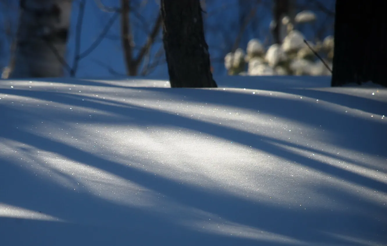 Photo wallpaper winter, snow, nature