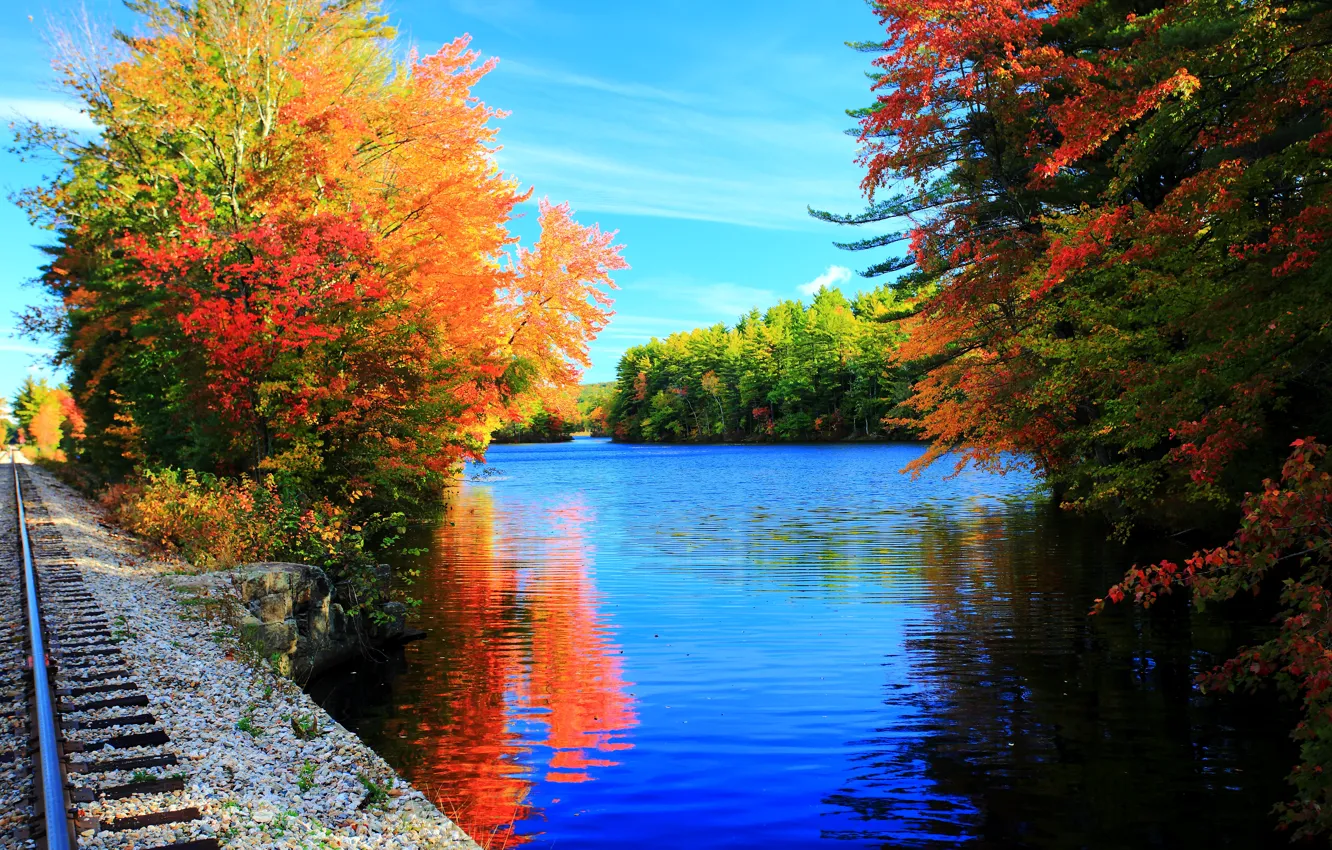 Photo wallpaper trees, lake, rails, colors, Autumn, trees, nature, autumn
