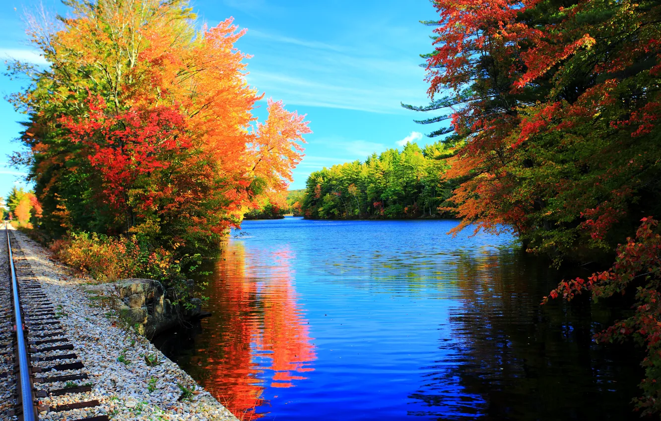 Photo wallpaper autumn, trees, lake, rails, colors, trees, nature, autumn