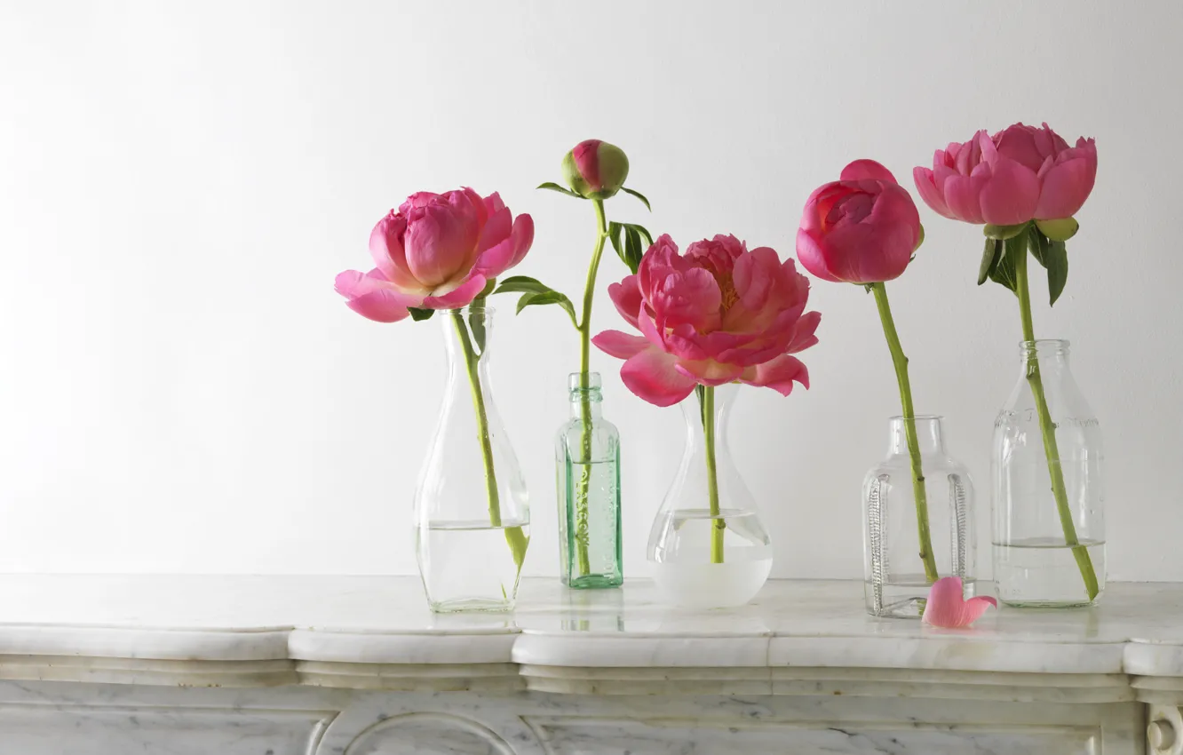 Photo wallpaper bottle, petals, stem, vase, pink, buds, peonies, composition