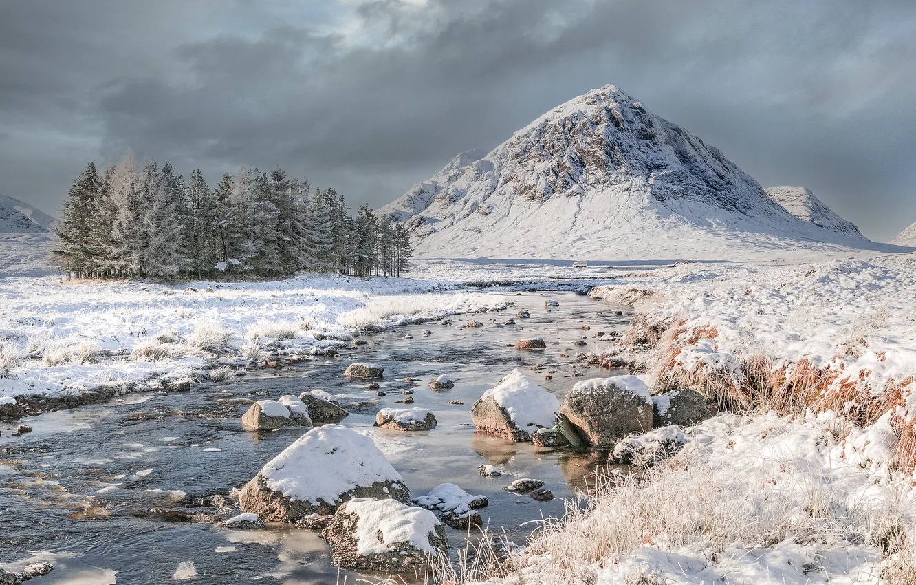 Photo wallpaper winter, frost, field, forest, snow, mountains, clouds, nature