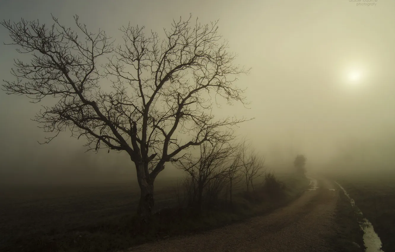 Photo wallpaper road, landscape, night, fog