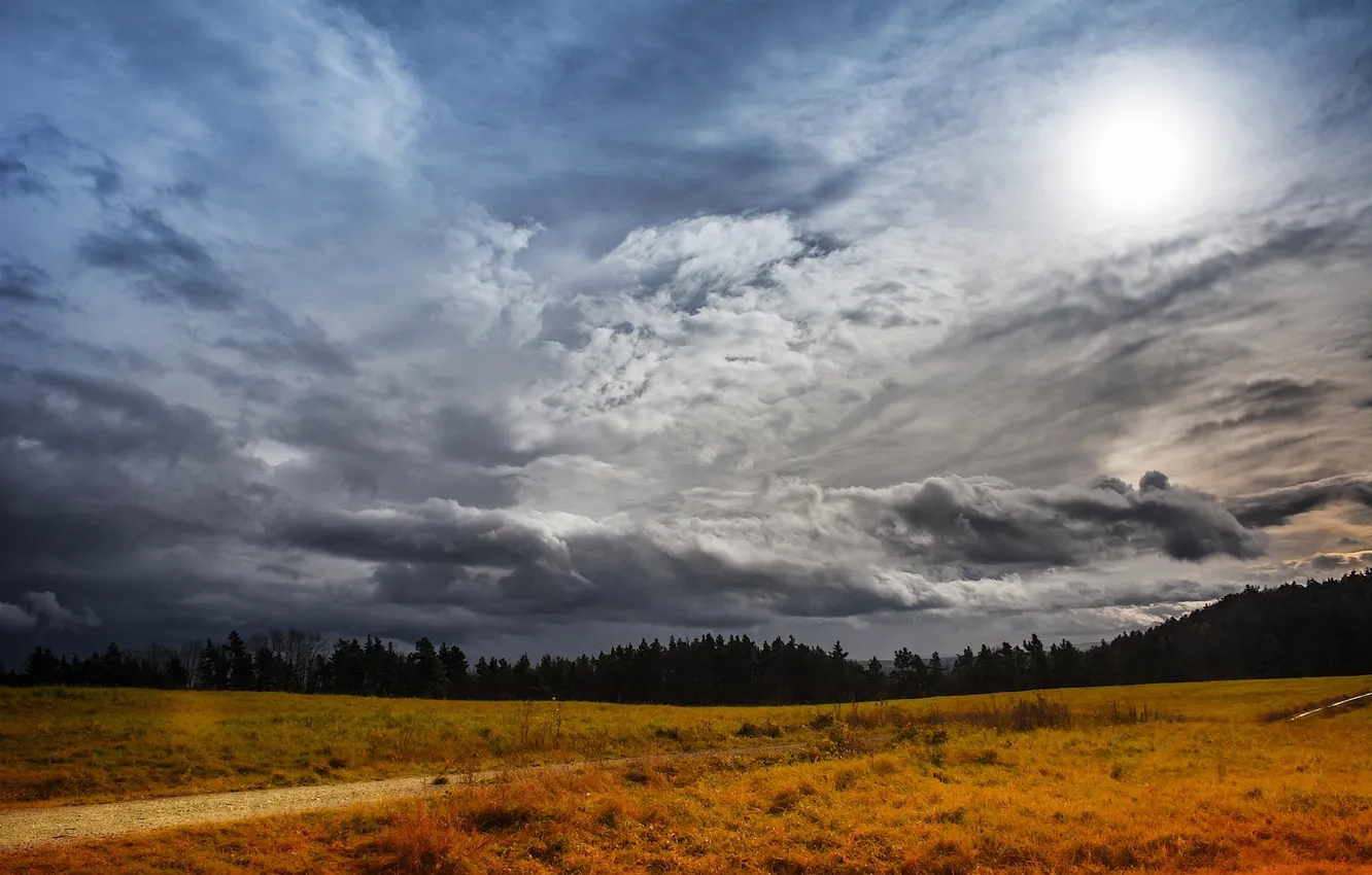 Photo wallpaper road, field, forest, the sun, clouds
