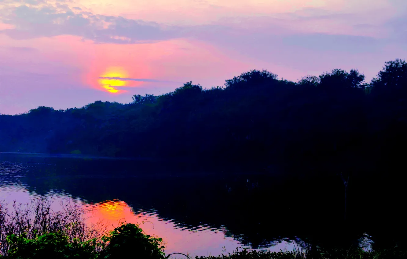 Photo wallpaper grass, sky, trees, water, clouds, lake, morning, sun