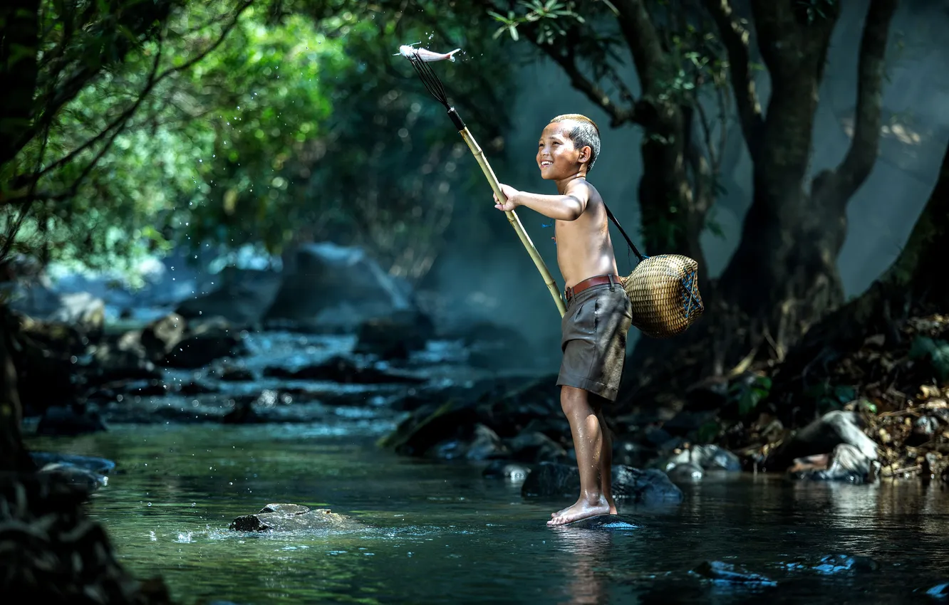 Photo wallpaper forest, landscape, child