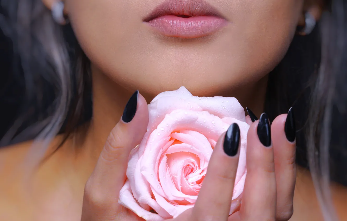 Photo wallpaper flowers, roses, earrings, lips, rose, flower, lips, earrings