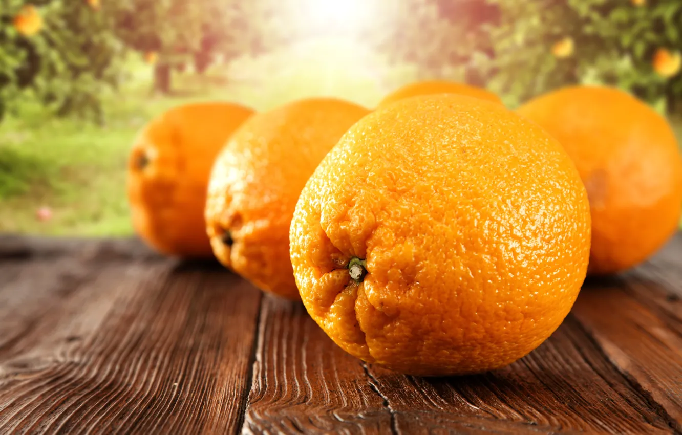 Photo wallpaper background, oranges, Board, citrus